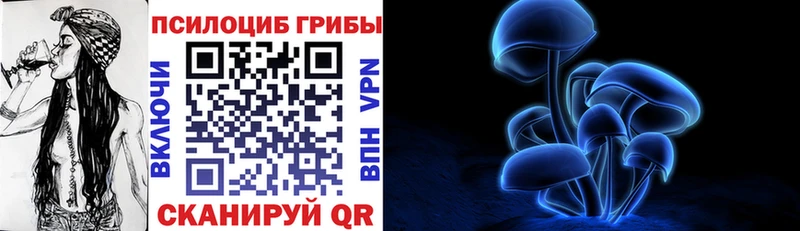 закладка  Слюдянка  Галлюциногенные грибы Psilocybe 